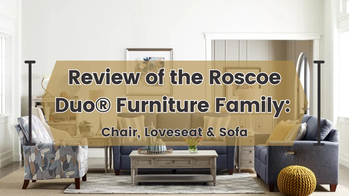 Review of the LaZBoy Roscoe Duo® Furniture Family Chair, Loveseat & Sofa
